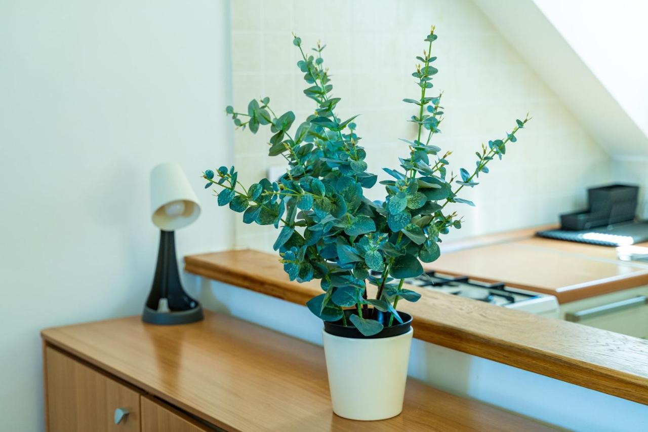 Foteza Apartments دوبروفينك المظهر الخارجي الصورة